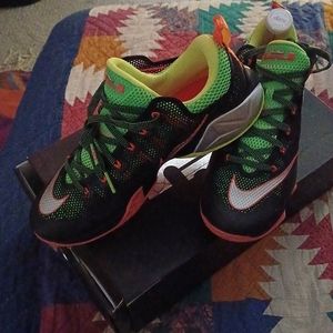 LeBron James Nike XII